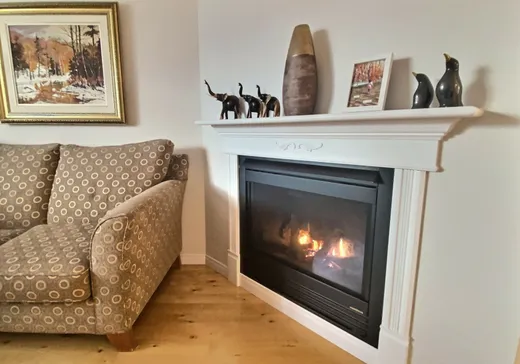 Condo à vendre - 31 Rue Lanouette, Victoriaville, G6P 3C8