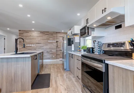 Maison à vendre - 37 Rue Morasse, Massueville, J3P 1S4