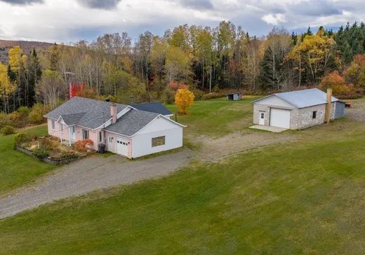 Maison à vendre - 284 Route Principale, Saint-Eusèbe, G0L 2Y0