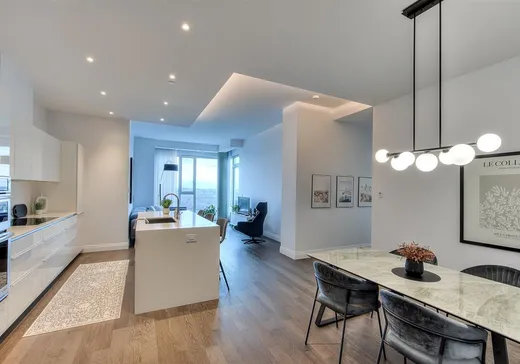 Condo for sale - 255 Rue Étienne-Lavoie, App. 2004, Laval (Sainte-Dorothee), H7X 0E5