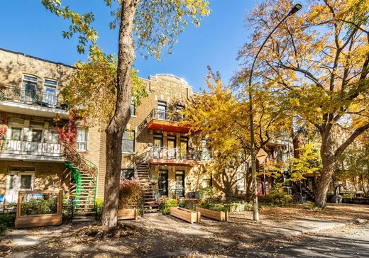 Condo à vendre - 5333A Av. De Lorimier, Montréal (Plateau-Mont-Royal), H2H 2C1