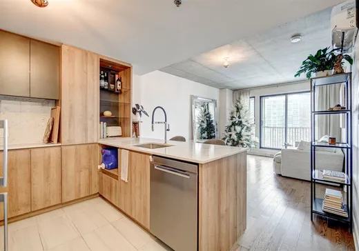 Condo à vendre - 170 Rue Rioux, App. 913, Montréal (Le Sud-Ouest), H3C 2A5