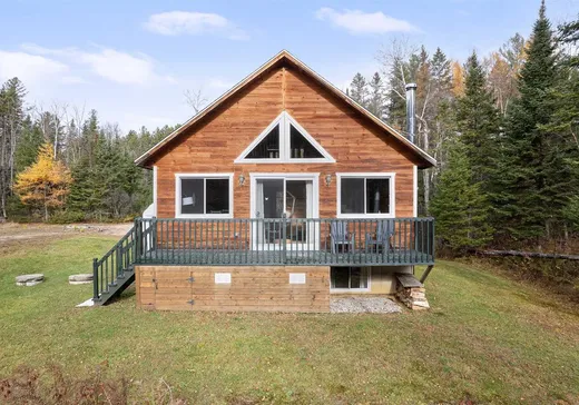 Un étage et demi à vendre - 4010Z Rue de la Rivière, St-Alexis-Des-Monts, J0K1V0