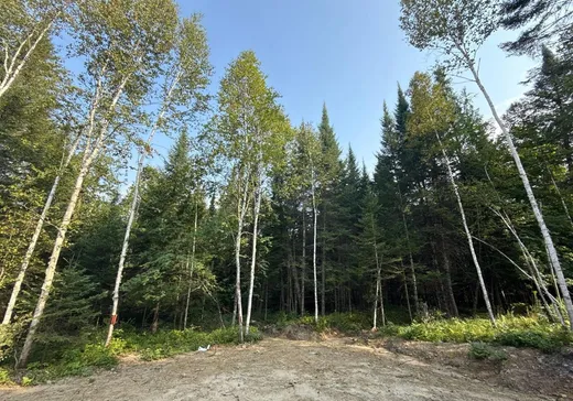 Maison à vendre - 65 Ch. de la Charmille, Mont-Tremblant, J8E 0C4