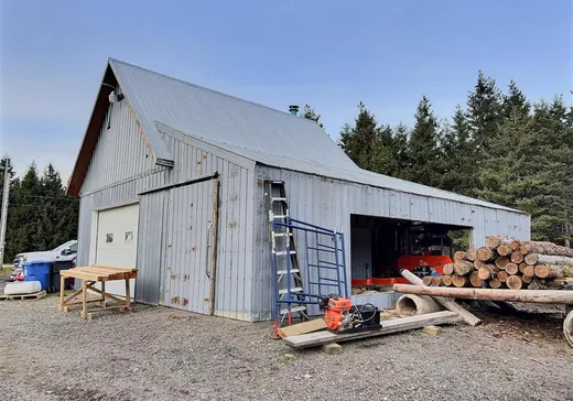 Maison à vendre - 511 4e Rang E., Saint-Éloi, G0L 2V0