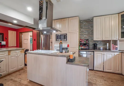 Maison à vendre - 600 Rue des Malards, Chertsey, J0K 3K0