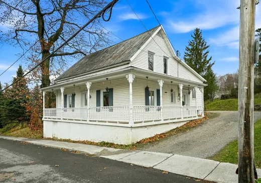 Two or more stories for sale - 36 1re Avenue, Windsor, J1S2A3