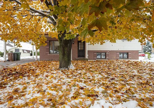 Maison à vendre - 2445 Rue Decelles, Saint-Hyacinthe, J2S 8B3