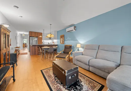 Condo for sale - 544 Rue Nicolet, Montreal (Mercier/Hochelaga-Maisonneuve), H1W 0C2