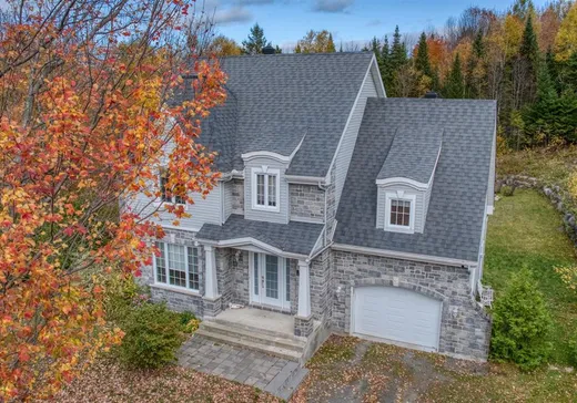 Maison à vendre - 311 Ch. Lagounaris, Saint-Sauveur, J0R 1R1