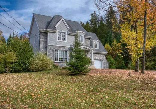 Maison à vendre - 311 Ch. Lagounaris, Saint-Sauveur, J0R 1R1