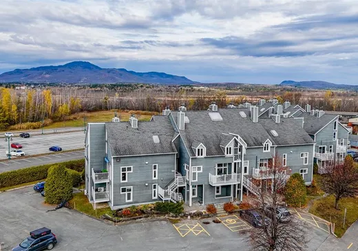 Condo for sale - 385 Rue du Moulin, App. 20, Magog, J1X4A1