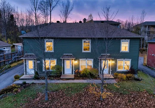 Condo à vendre - 325 Rue Chénier, Magog, J1X 6H3