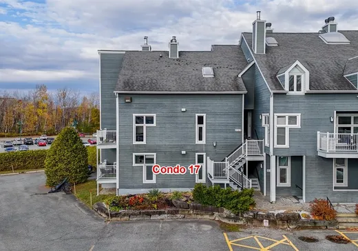 Condo à vendre - 385 Rue du Moulin, App. 17, Magog, J1X 4A1