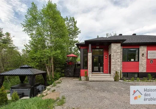 Maison à vendre - 293 Ch. de la Martine, Petite-Riviere-St-François, G0A 2L0