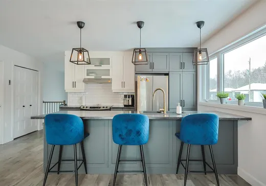 Maison à vendre - 10 Rue Bilodeau, Plessisville, G6L 0K1