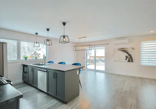 Maison à vendre - 10 Rue Bilodeau, Plessisville, G6L 0K1