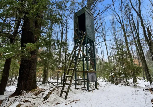 Fermette à vendre - 360Z Route St-Louis, Sainte-Brigitte-des-Saults, J0C 1E0