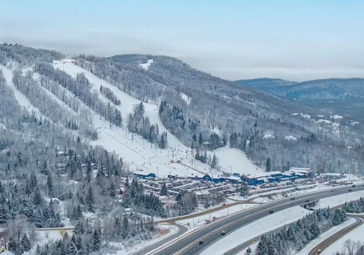 Maison à vendre - 1023 Rue de la Pisciculture, Mont-Blanc, J0T 2G0