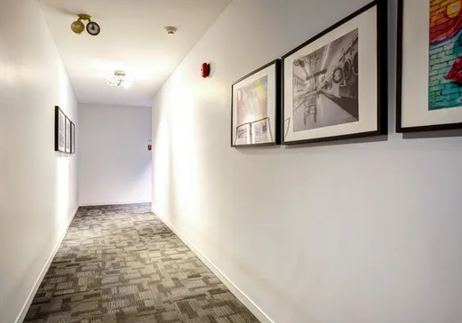 Condo à vendre - 3444 Place Joseph-N.-Drapeau, Montréal (Rosemont–La Petite-Patrie), H1X 3J1