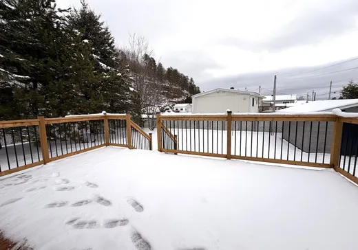 Maison à vendre - 329 Rue Vanier, La Tuque, G9X 3S8