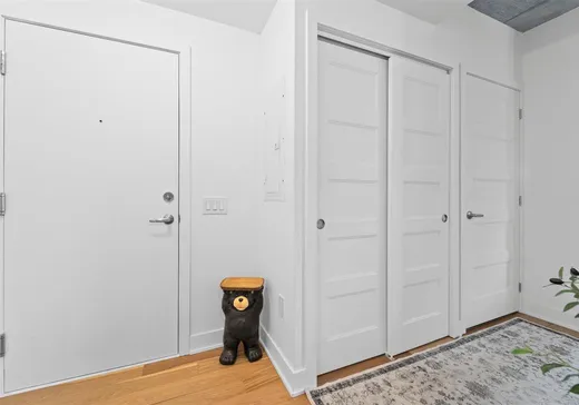 Condo à vendre - 3600 Rue Rachel E., Montréal (Mercier/Hochelaga-Maisonneuve), H1W 0C4