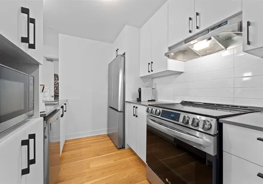 Condo à vendre - 3600 Rue Rachel E., Montréal (Mercier/Hochelaga-Maisonneuve), H1W 0C4