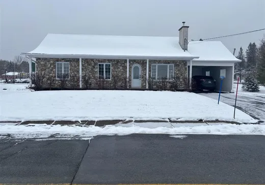 Maison à vendre - 802 1re Rue, Saint-Cyprien-Des-Etchemins, G0R 1B0
