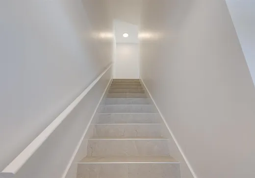 Condo for sale - 11373 Av. L'Archevêque, Montreal (North), H1H 3B1