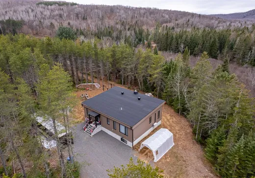 Maison à vendre - 290 Ch. des Bleuets, St-Alexis-Des-Monts, J0K 1V0