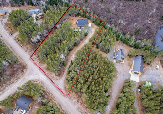 Maison à vendre - 290 Ch. des Bleuets, St-Alexis-Des-Monts, J0K 1V0