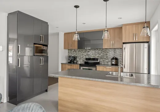 Maison à vendre - 1719 Rue de la Dignité, Ville de Québec, G3E 1R6