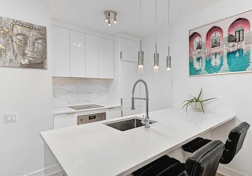 Condo à vendre - 1165 Rue Wellington 610, Montréal (Ville-Marie), H3C 0S3