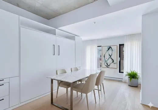 Condo à vendre - 1406 Rue Ste-Élisabeth, App. 309, Montréal (Centreville), H2X 0E7