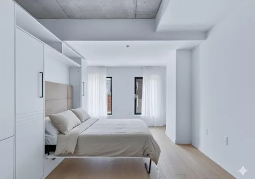 Condo à vendre - 1406 Rue Ste-Élisabeth, App. 309, Montréal (Centreville), H2X 0E7