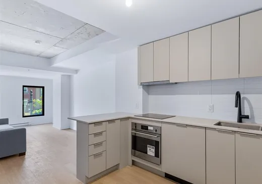 Condo à vendre - 1406 Rue Ste-Élisabeth, App. 309, Montréal (Centreville), H2X 0E7