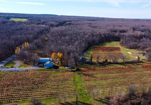 Hobby Farm for sale - 3535 Route 202, Franklin, J0S 1E0