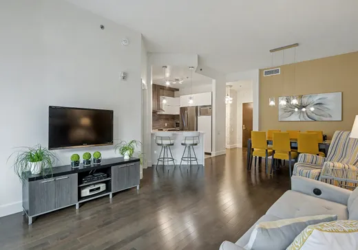 Condo à vendre - 495 Boul. Sir-Wilfrid-Laurier, Beloeil, J3G 0P4