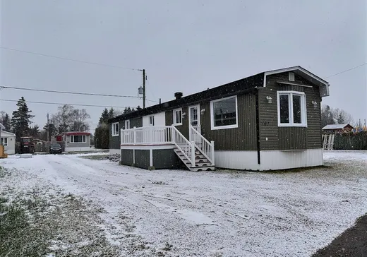 Bungalow à vendre - 107 Rue du Parc-de-l'Amitié, Notre-Dame-du-Portage, G0L1Y0
