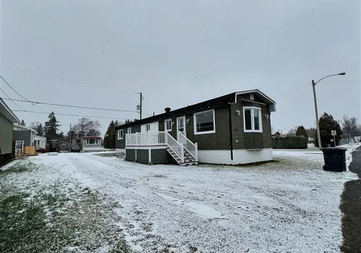 Maison à vendre - 107 Rue du Parc-de-l'Amitié, Notre-Dame-du-Portage, G0L 1Y0