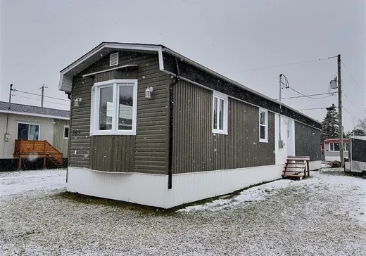 Maison à vendre - 107 Rue du Parc-de-l'Amitié, Notre-Dame-du-Portage, G0L 1Y0