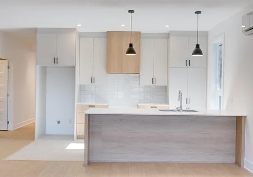 Condo for sale - 11375 Av. L'Archevêque, Montreal (North), H1H 3B1