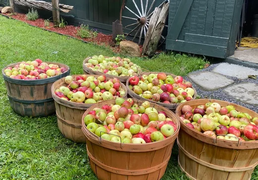 Fermette à vendre - 704 Ch. St-François, Kiamika, J0W 1G0