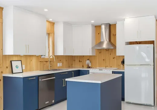 House for sale - 3 Chemin  St- Alphonse, Lac-aux-Sables, G0X 1M0