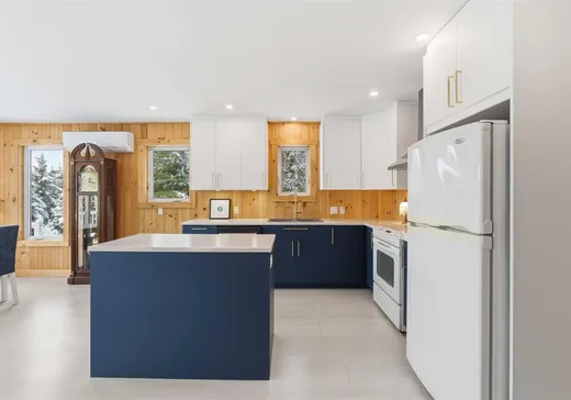 House for sale - 3 Chemin  St- Alphonse, Lac-aux-Sables, G0X 1M0