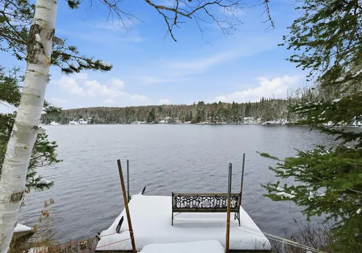 Maison à vendre - 150 Ch. Papp, Rivière-Rouge, J0T 1T0