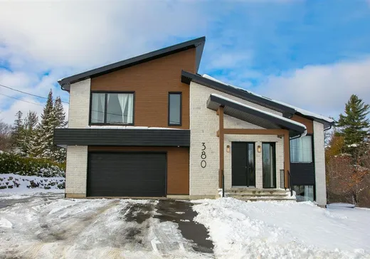 Paliers multiples à vendre - 380 Rue des Mélèzes, Cookshire-Eaton, J0B1M0