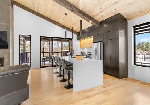 Maison à vendre - 380 Rue des Mélèzes, Cookshire-Eaton, J0B 1M0