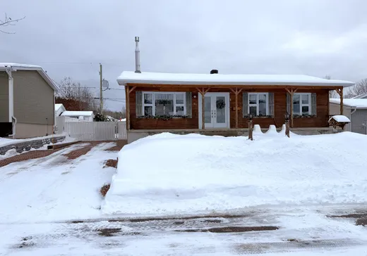 Maison à vendre - 64 Rue Louis-Hébert, La Tuque, G9X 4A6