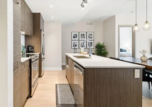 Condo à vendre - 1400 Rue Ottawa, App. 423A, Montréal (Centreville), H3C 0Y9